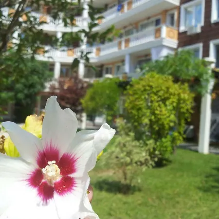 Aria Complex Slantchev Briag